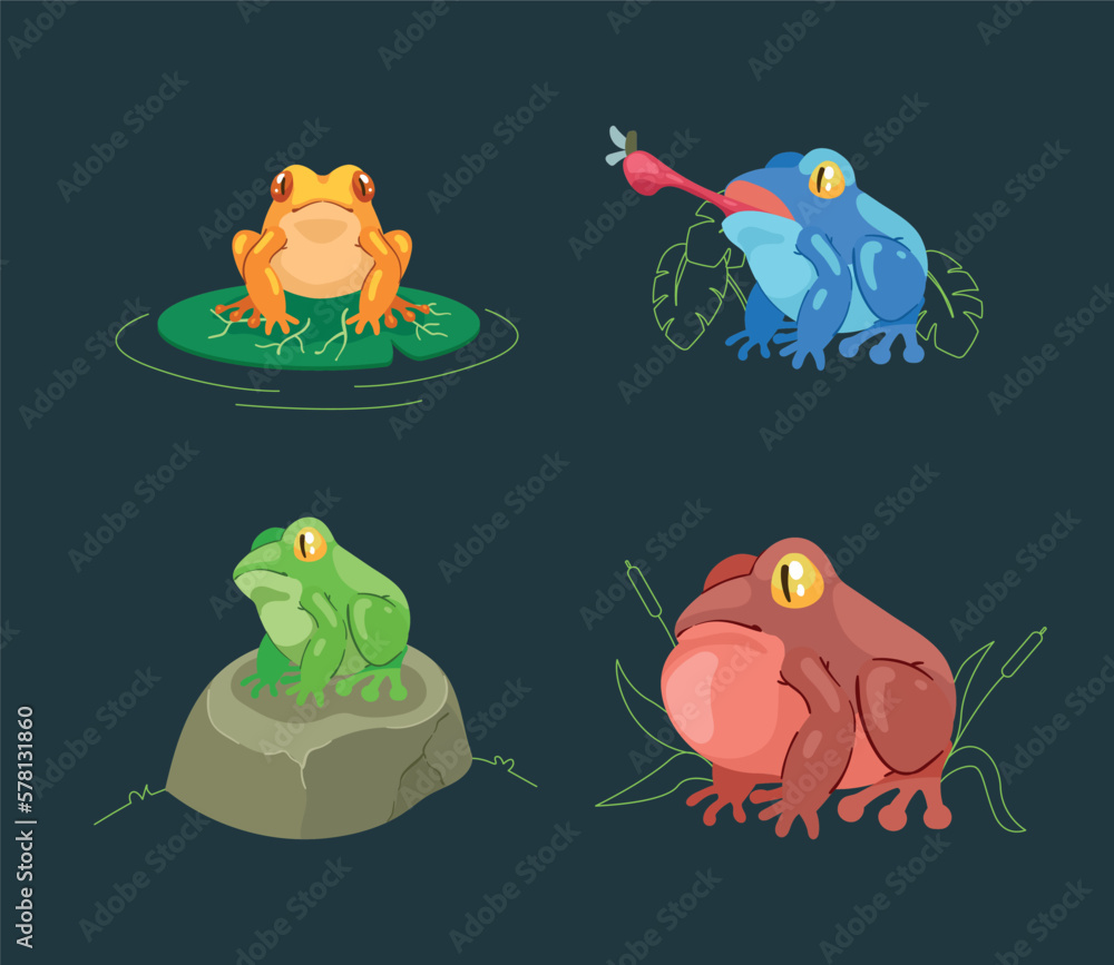 Fototapeta premium four frogs amphibians