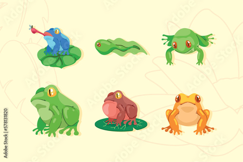 Fototapeta Naklejka Na Ścianę i Meble -  six frogs amphibians