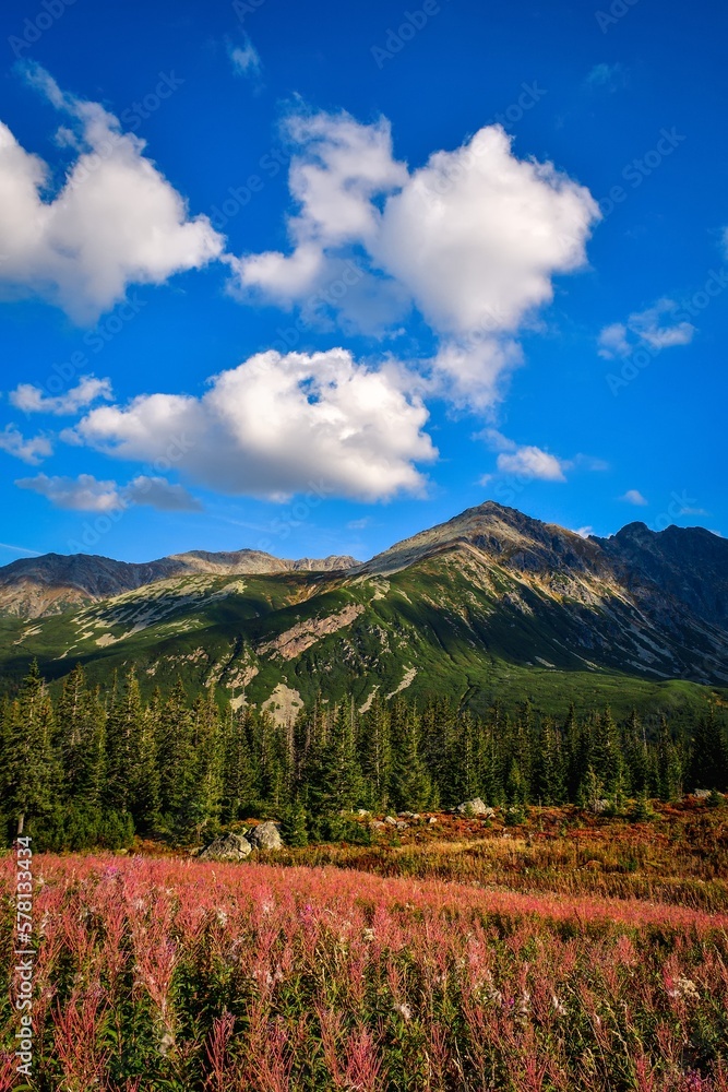 Fototapeta premium Beautiful mountain summer landscape. The famous Polish valley of Gasienicowa in the Tatra Mountains.
