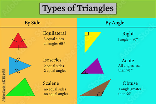 Different types of triangles vector image