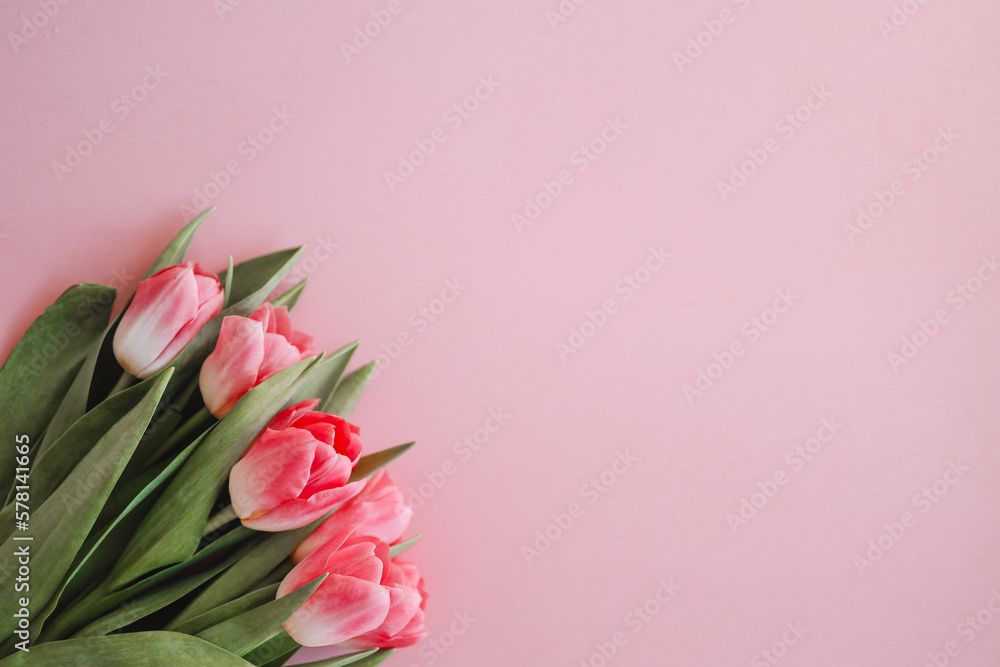 Pink tulips flowers on pink background. Waiting for spring. Happy Easter card. Flat lay, top view Pink tulips flowers on pink background. Waiting for spring. Happy Easter card. Flat lay, top view
