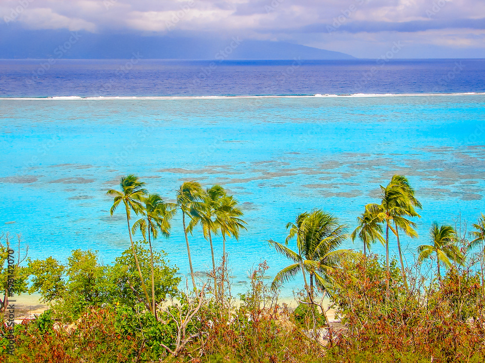 Moorea Tropical paradise, Idyllic turquoise beach in French Polynesia, Tahiti