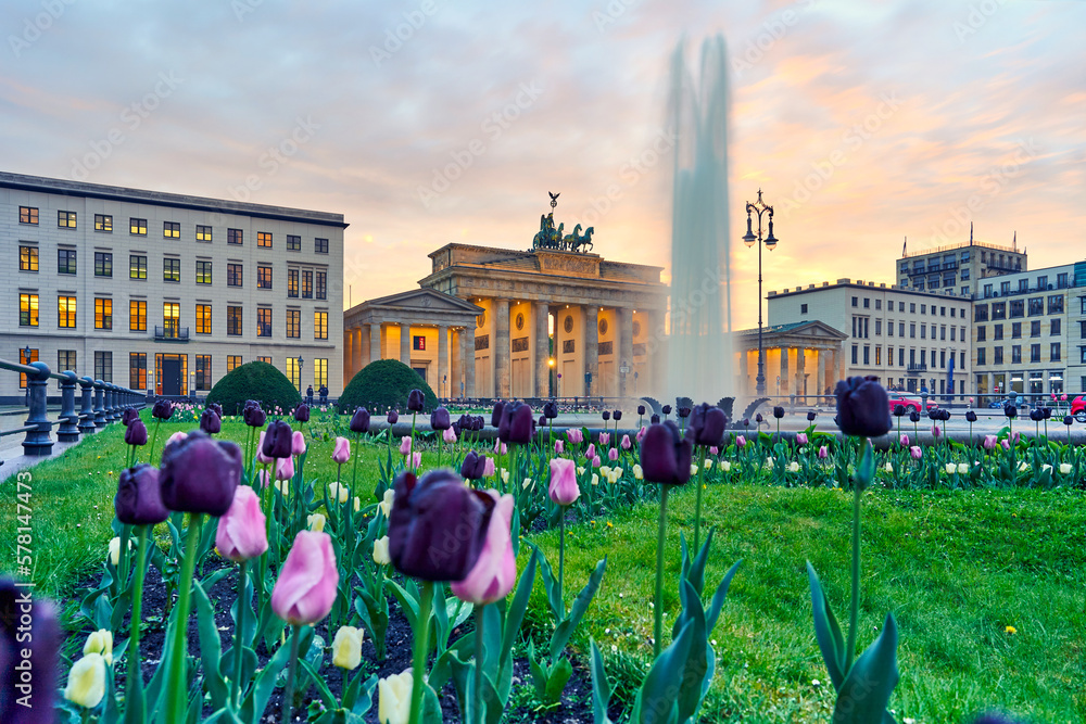 Obraz na płótnie Berlin city, view of the illuminated Brandenburg Gate at Pariser Platz with a fountain and beautiful colorful tulips in the foreground in spring at sunset w salonie