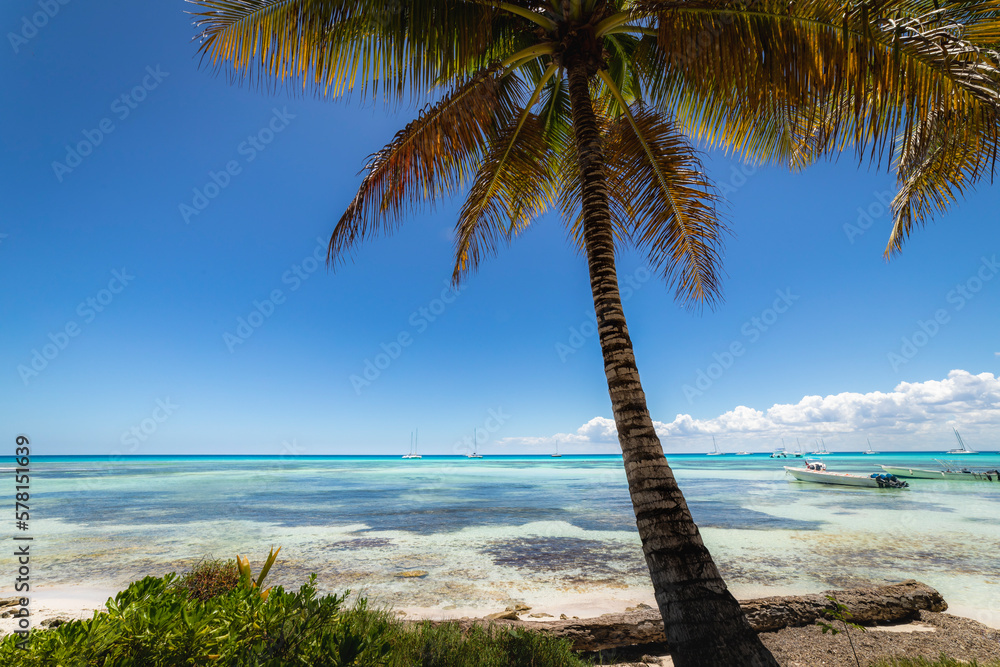 Boats and tropical beach in caribbean sea, Saona island, Dominican Republic