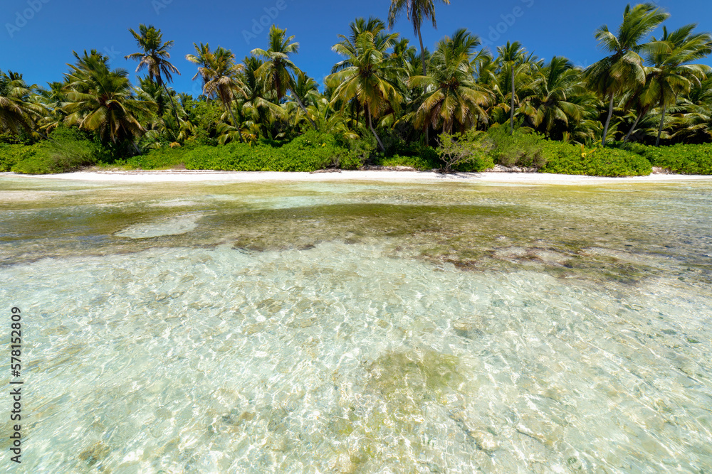 Tropical beach in caribbean sea, idyllic Saona island, Dominican Republic