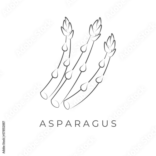 Asparagus Simple Line Art Vector Illustration Logo