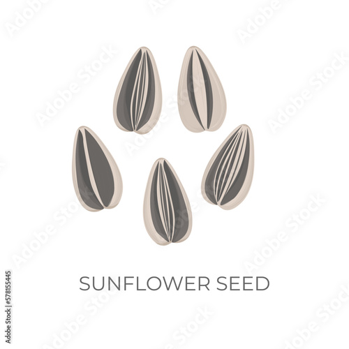 Sunflower Seed Kuaci Kwaci Vector Illustration Logo