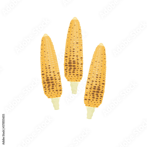 Delicious Roasted Corn Vector Illustration logo