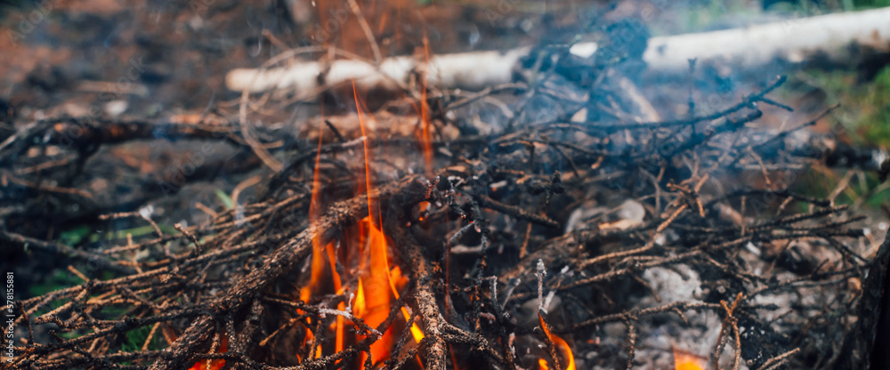 Burning branches and brushwood in fire close-up. Atmospheric warm background with orange flame of campfire and blue smoke. Beautiful full frame image of bonfire. Firewood burns in vivid flames. Burning branches and brushwood in fire close-up. Atmospheric warm background with orange flame of campfire and blue smoke. Beautiful full frame image of bonfire. Firewood burns in vivid flames.