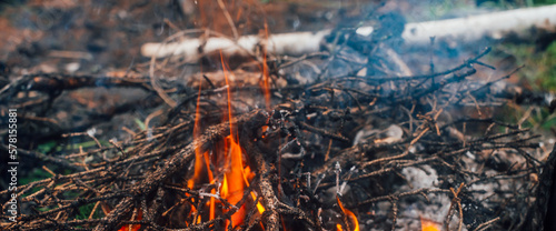 Burning branches and brushwood in fire close-up. Atmospheric warm background with orange flame of campfire and blue smoke. Beautiful full frame image of bonfire. Firewood burns in vivid flames. © Daniil