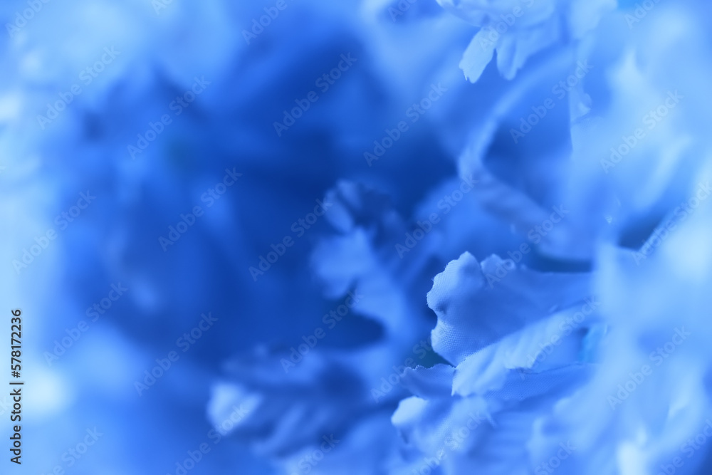 abstract background spring flowers nature gentle summer season