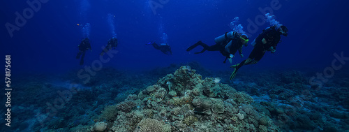 Fotografia group of divers depth bubbles dive