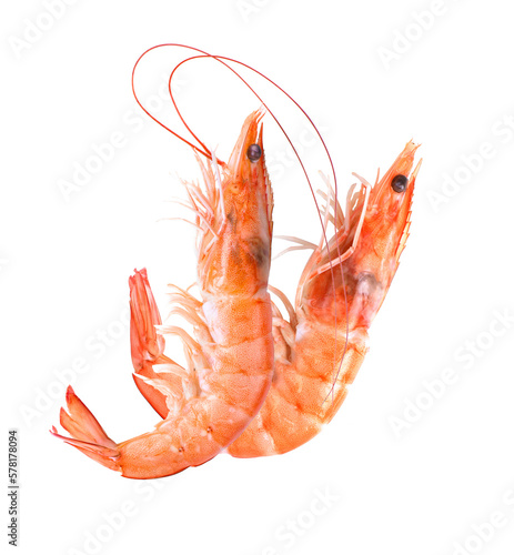 Print op canvas Shrimps isolated on transparent png