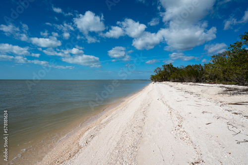Beach at Middle Cape Sable and Gulf of Mexico in Everglades National Park  Florida on sunny February day.