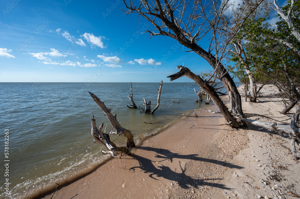 Beach at Middle Cape Sable and Gulf of Mexico in Everglades National Park, Florida on sunny February day. Beach at Middle Cape Sable and Gulf of Mexico in Everglades National Park, Florida on sunny February day.
