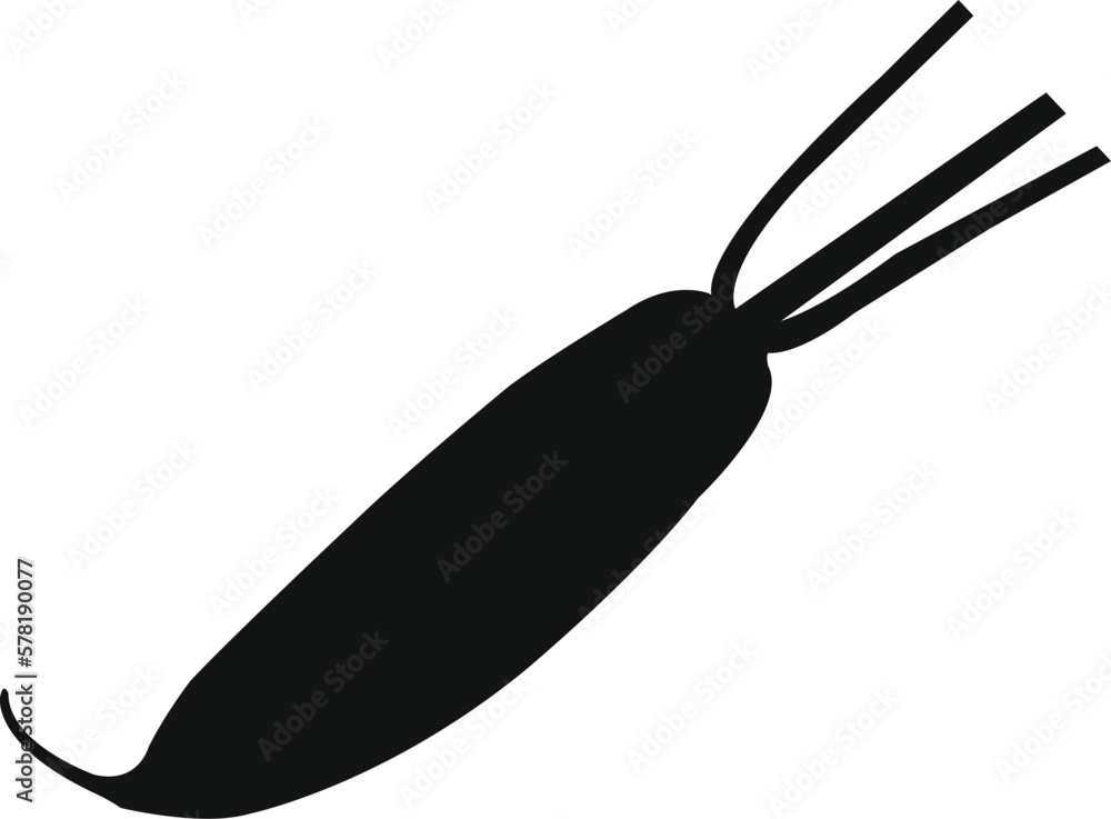 Obraz premium Daikon radish vector icon. Simple editable eps vector usable for web and print items.