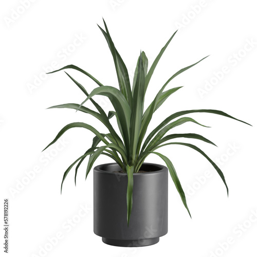 3d rendering indoor plants model isolated on white background