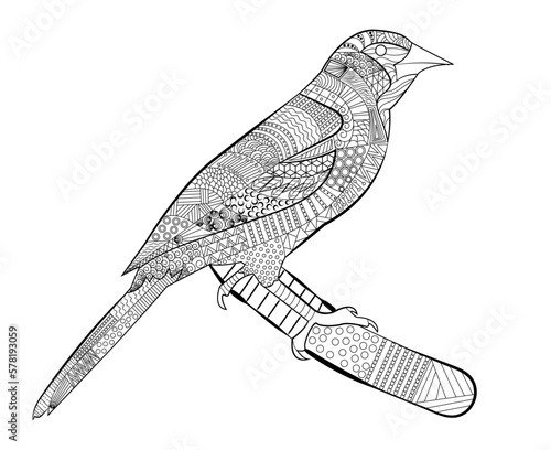 Oriole vector in Zentangle style