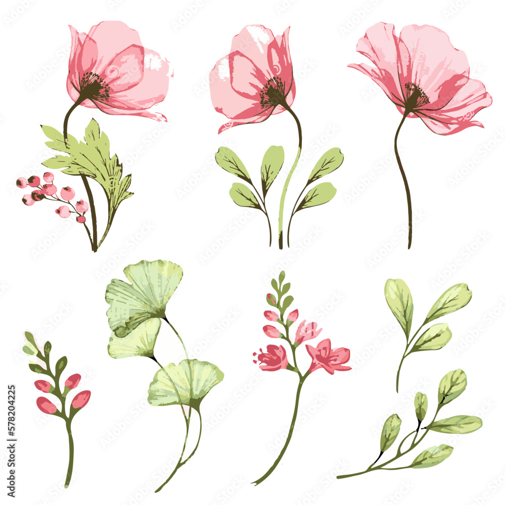 A set of delicate beautiful flowers. Vector illustration of spring flowers. Spring flowers. Bright garden plants.