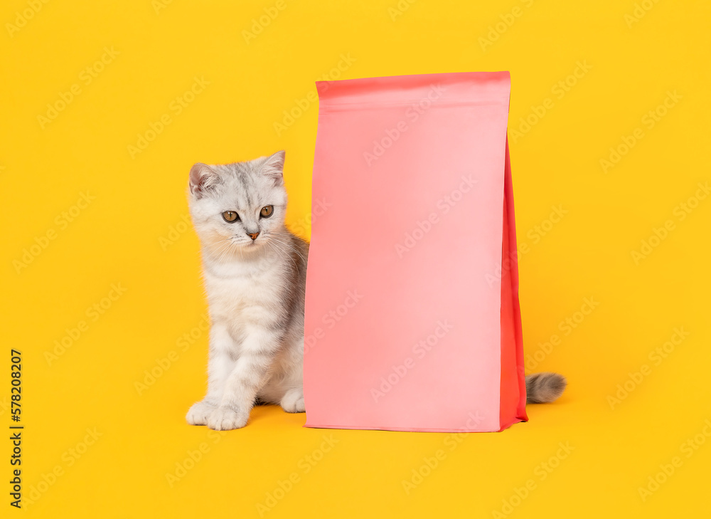Small white kitten with black stripes with pink tasty pet food, cat Scottish fold breed on yellow background. Small white kitten with black stripes with pink tasty pet food, cat Scottish fold breed on yellow background.