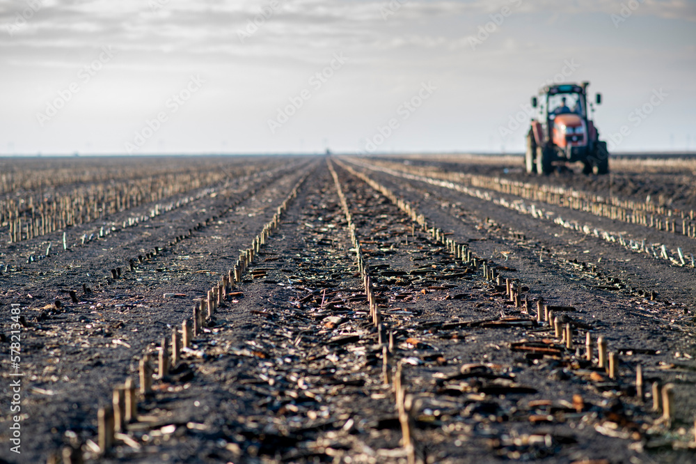 Fototapeta premium The tractor is working in the field, preparing the soil in the fall after harvesting the corn