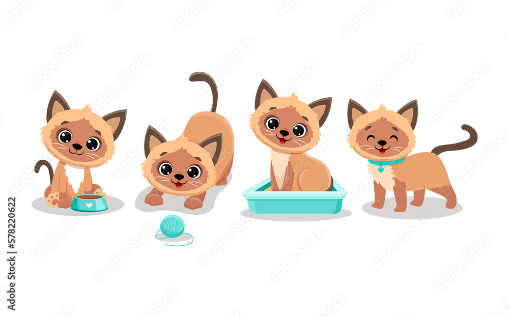 Obraz premium Set of isolated cute cats in different poses in cartoon style.Siamese cat.