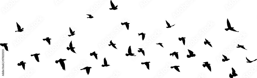 Fototapeta premium Flying birds silhouettes pattern wallpaper. PNG transparent. isolated bird flying. tattoo design. template for card, package, and wallpaper.
