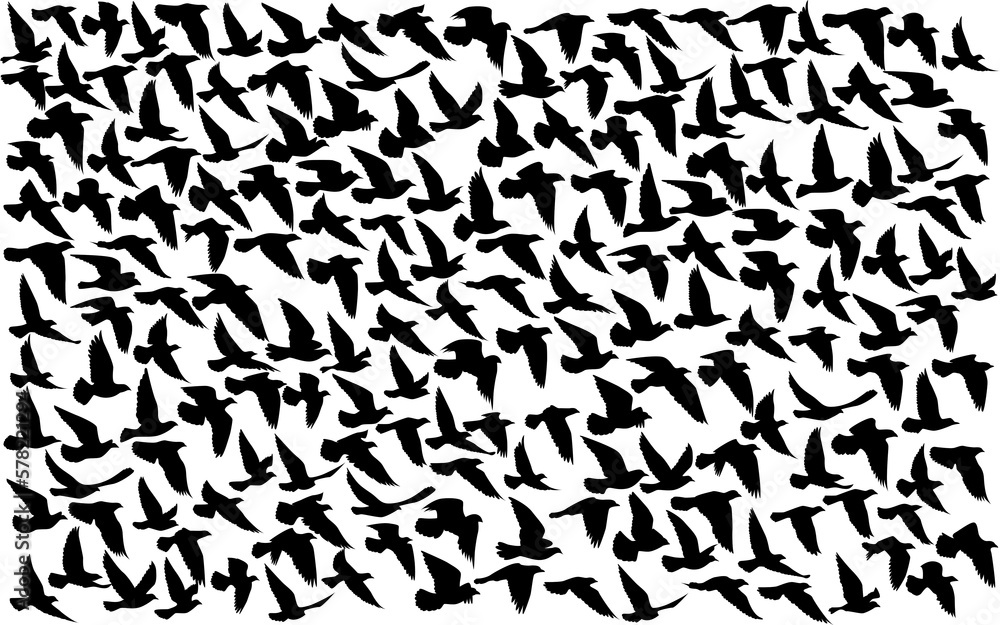 Flying birds silhouettes pattern wallpaper. PNG transparent. isolated bird flying. tattoo design. template for card, package, and wallpaper.