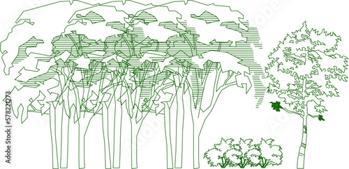 Vector sketch of collection of green trees