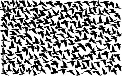 Flying birds silhouettes pattern wallpaper. PNG transparent. isolated bird flying. tattoo design. template for card  package  and wallpaper.