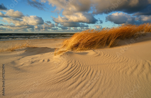 Krajobraz wybrzeża Morza Bałtyckiego, Kołobrzeg, Polska © Konrad Uznański