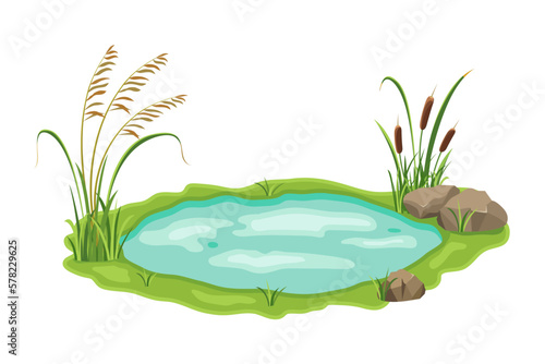 Pond with reed and sedge vegetation. Vector illustration of swamp with grass on white background. Wild thickets near the lake