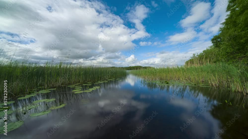 Timelapse of local lake with water grass and reeds reflecting moving clouds on a sunny summer day in county Leitrim in Ireland.