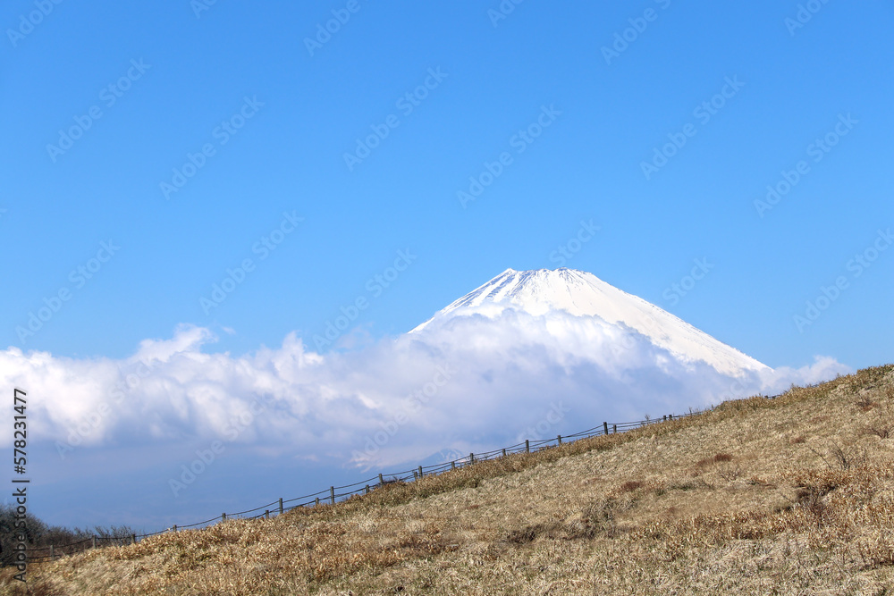Beautiful sacred Mount Fuji (Fujiyama) in clouds on blue sky background, Japan. View from mount Komagatake