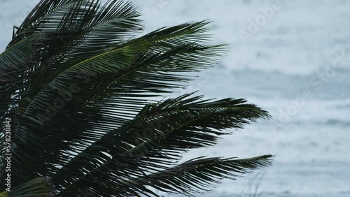 Hurricane Nicole making landfall on Florida Atlantic coast 