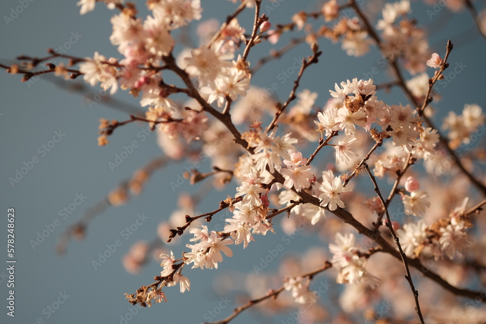 Printemps de Paris, 2023 Printemps de Paris, 2023
