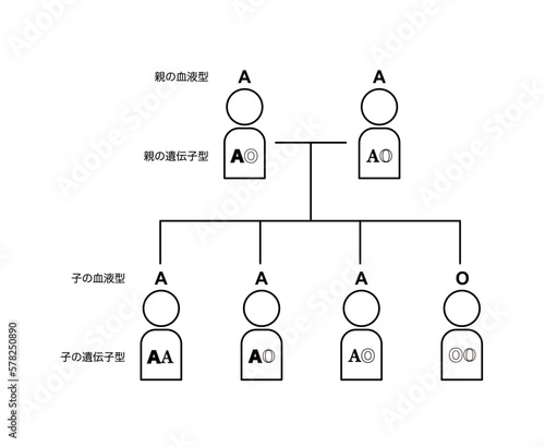 血液型の遺伝（両親がAOの場合）