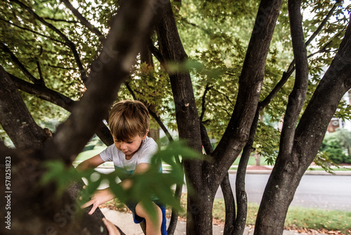 young boy climbing tree surrounded by branches and green leaves photo