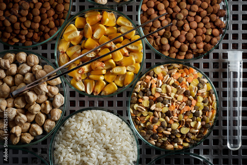 Seeds in petri dishes for genetic work