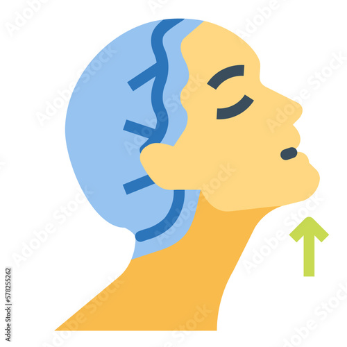 chin reduction flat icon style