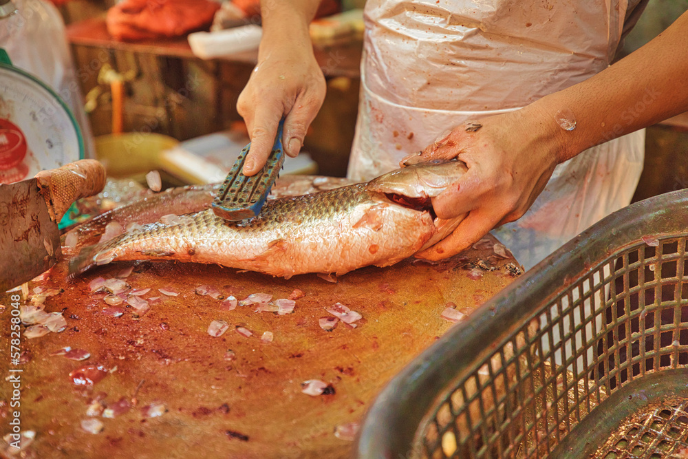 Photo & Art Print close-up shot of a fishmonger scaling the fish 
