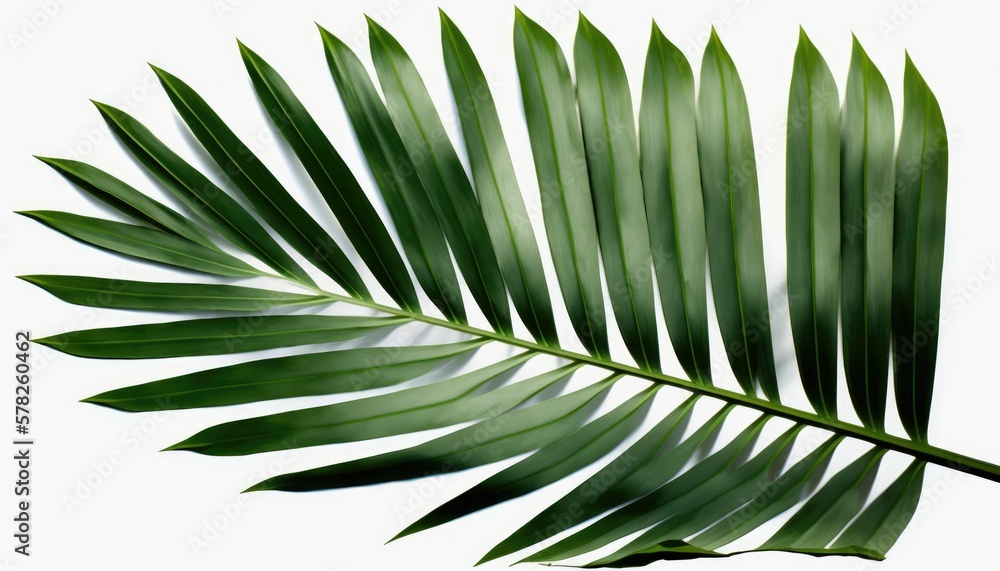 Obraz premium palm tree leaf generative AI