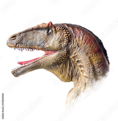 The head of Carcharodontosaurus , dinosaur on isolated background .