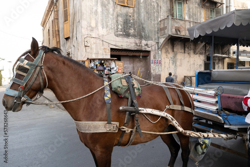 Horse carriage in Saint Louis, Senegal