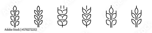 Grain vector icons. Wheat ear icon collection. Gluten symbol. Vector