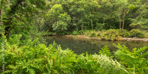 Fragas do Eume Natural Park, Pontedeume, La CoruÃ±a, Galicia, Spain, Europe