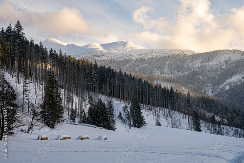 View of the Tatra Mountains in winter from Koscieliska Valley. Sunny weather during a hike in the mountains.