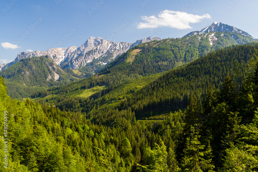 Fototapeta premium National Park Kalkalpen in Austria