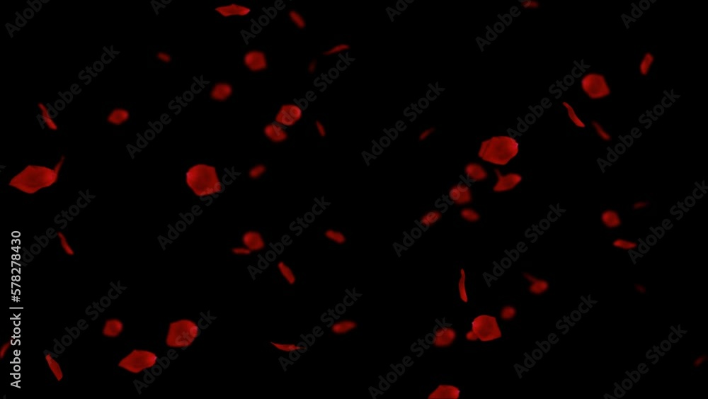 Rose petals flying from the right side of the frame on black Rose petals flying from the right side of the frame on black