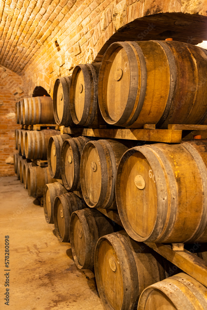 Wine cellars with barrels in Rakvice, Southern Moravia, Czech Republic